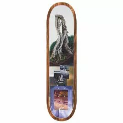 Componets Evisen Skateboard Deck