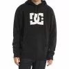 DC Shoes MEN'S DC STAR HOODIE