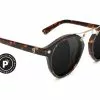 Glassy Sale Swift Plus Polarized - Tortoise